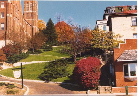 Snake alley postcard_1